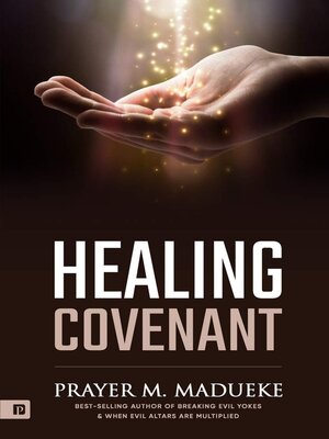 cover image of Healing Covenant